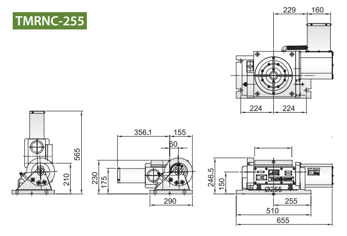 TMRNC-255 (1).jpg